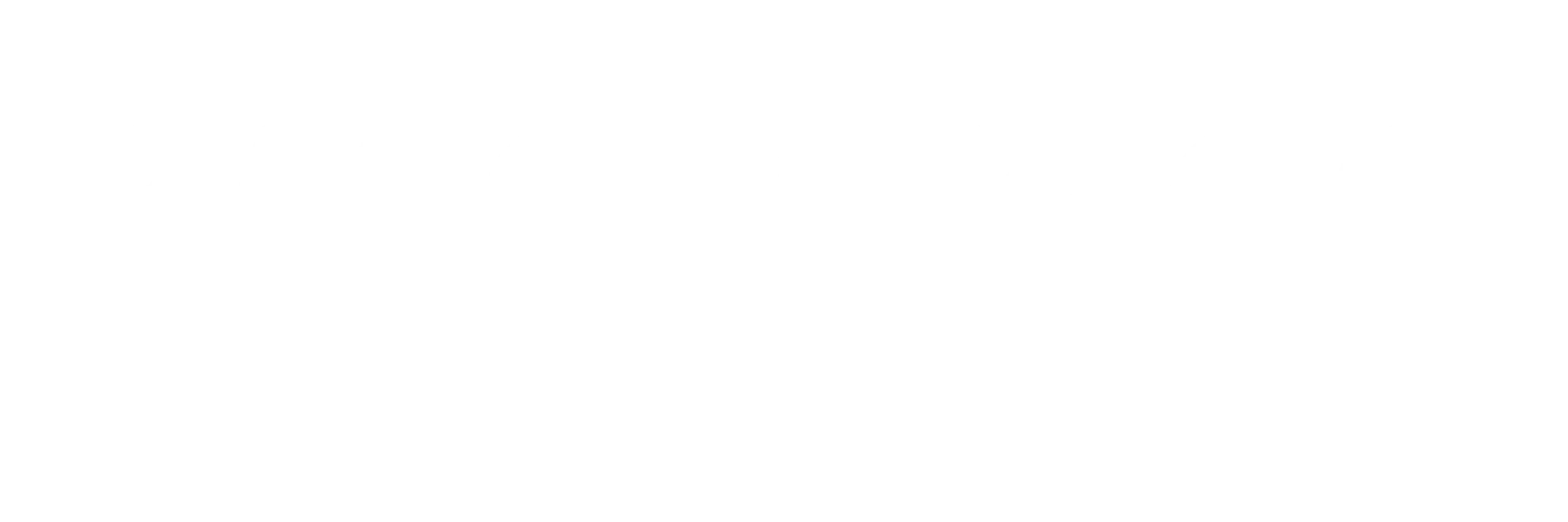 Basch & Co Website logo